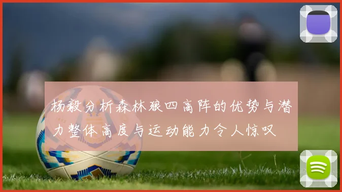 杨毅分析森林狼四高阵的优势与潜力整体高度与运动能力令人惊叹